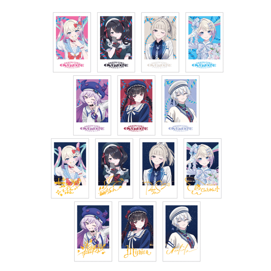 トレーディングフォト風カード（1パック2枚入り）（全14種）